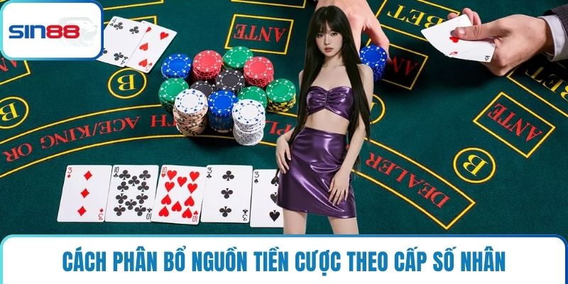 Cách phân bổ nguồn tiền cược theo cấp số nhân